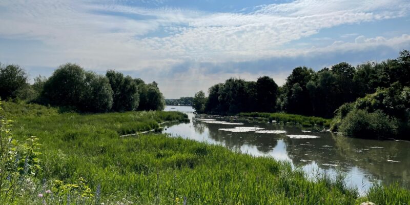 Le Parc du Peuple de l'herbe à Carrières-sous-Poissy