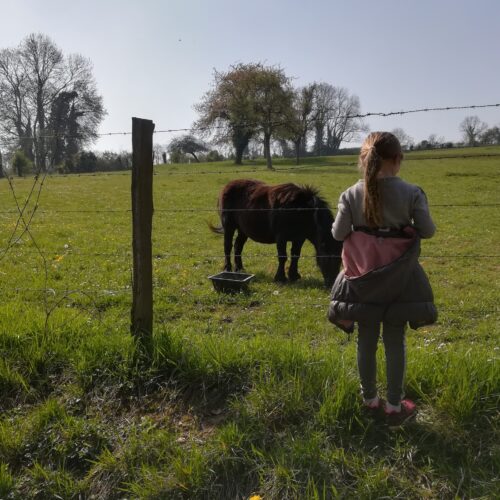 Kidiklik balade en famille à Oinville-sur-Montcient