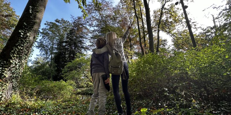 Forêt des grands bois à Morainvilliers